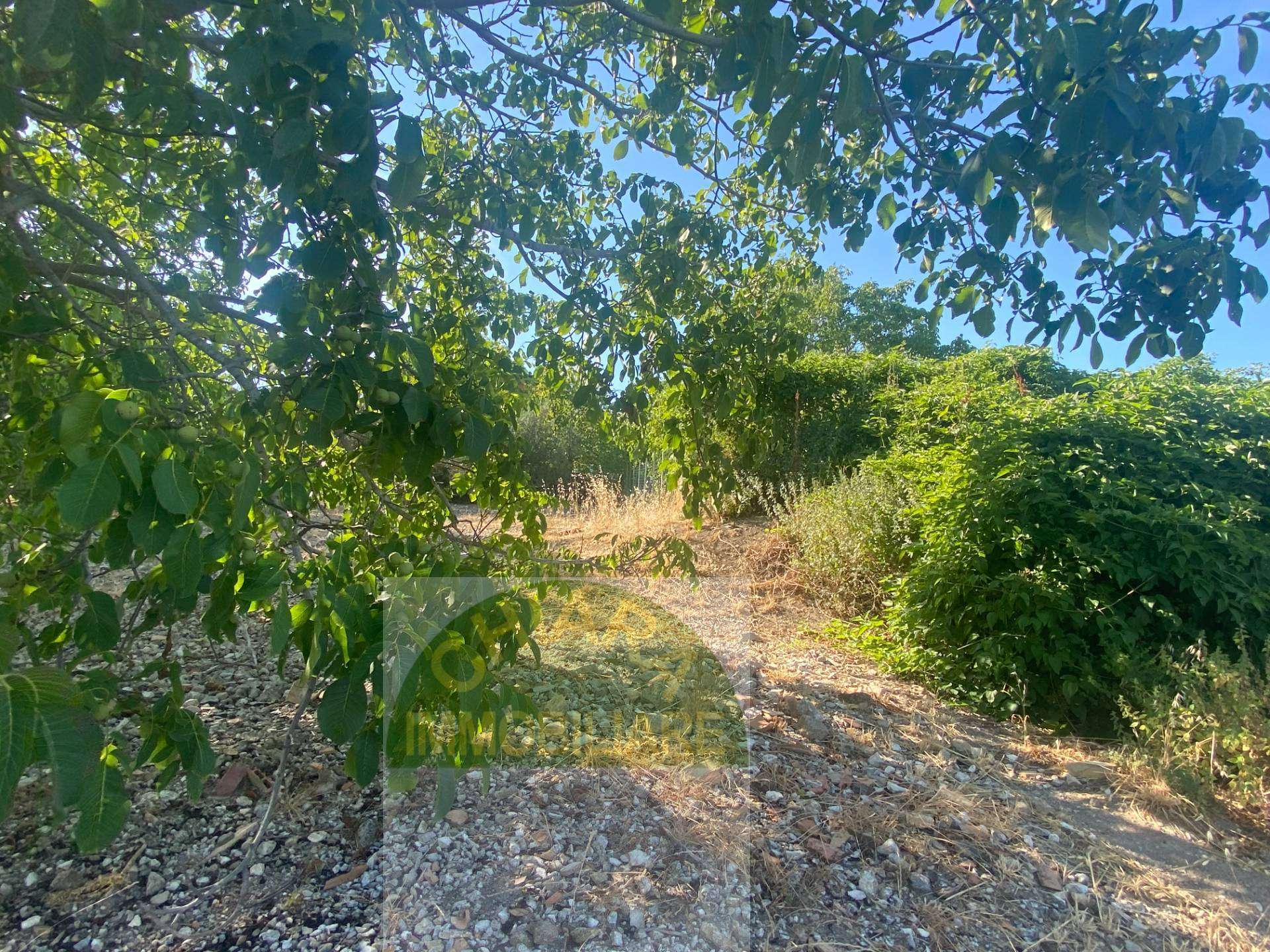  - foto 35