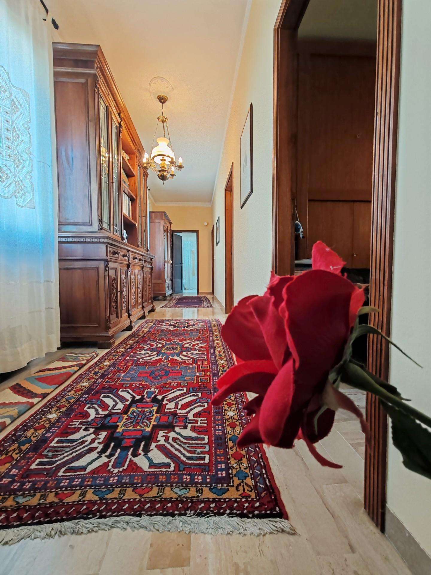  - foto 22