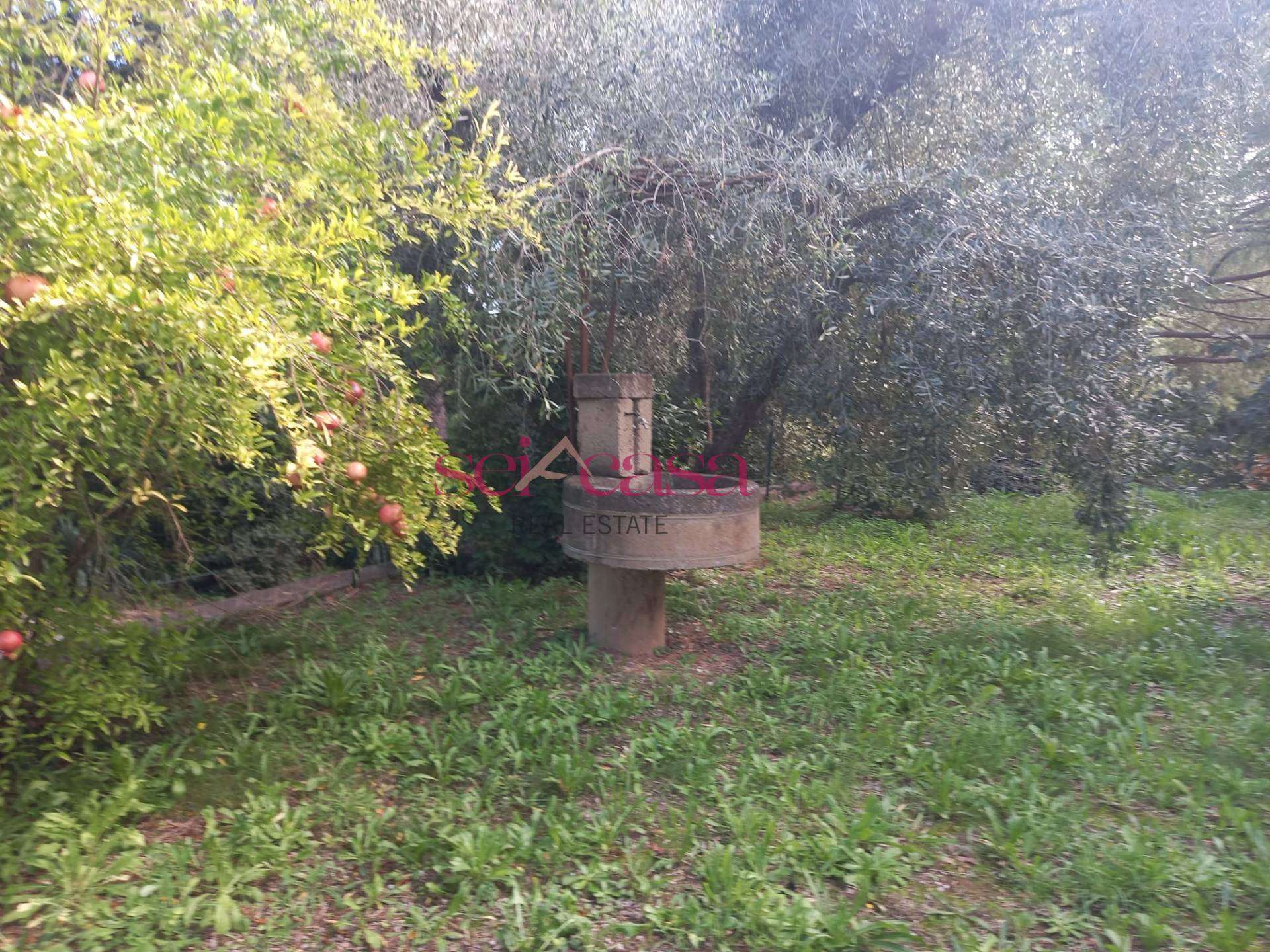 Box - Garage - Posto Auto, Magliano in Toscana