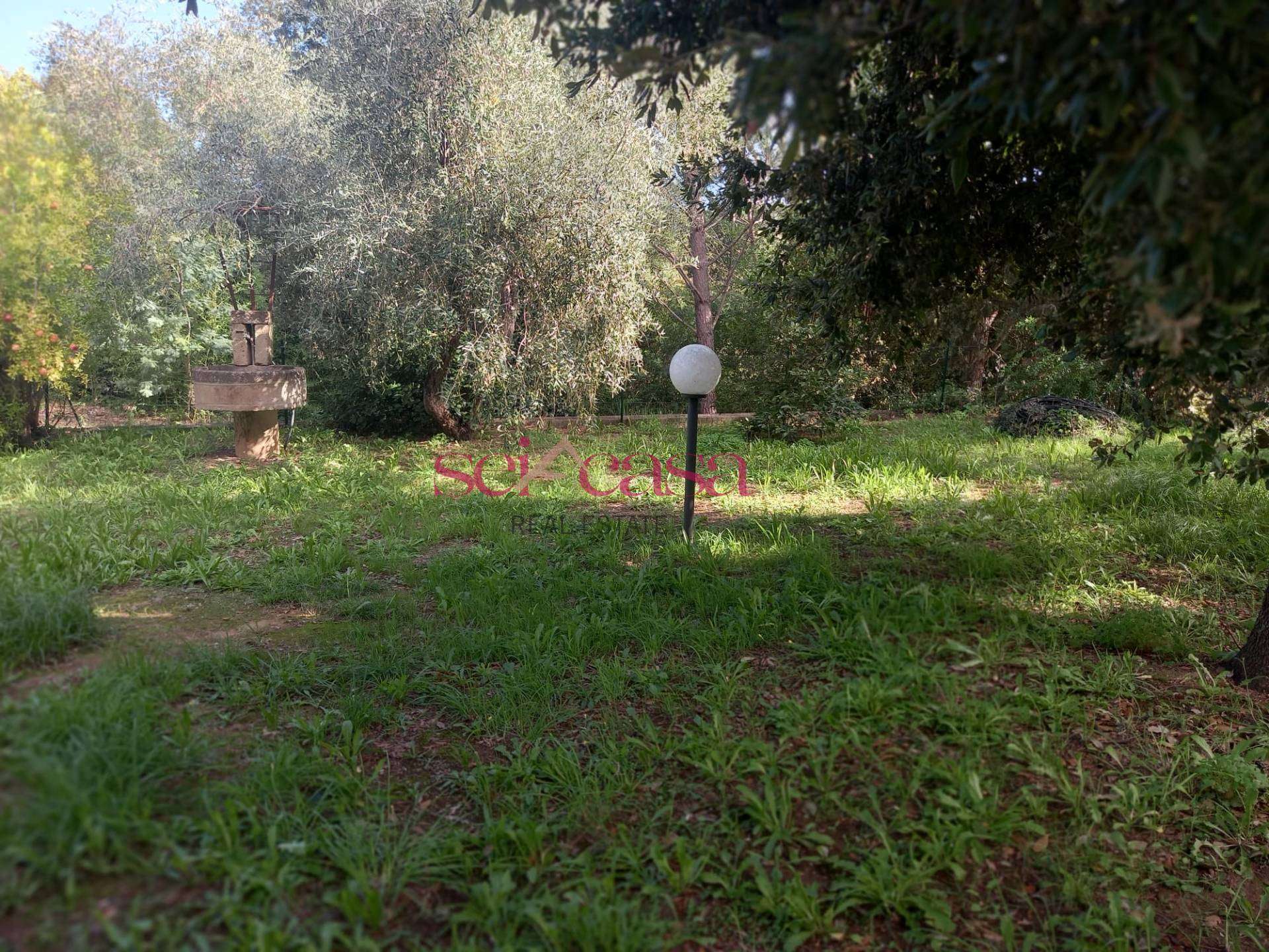  - foto 8