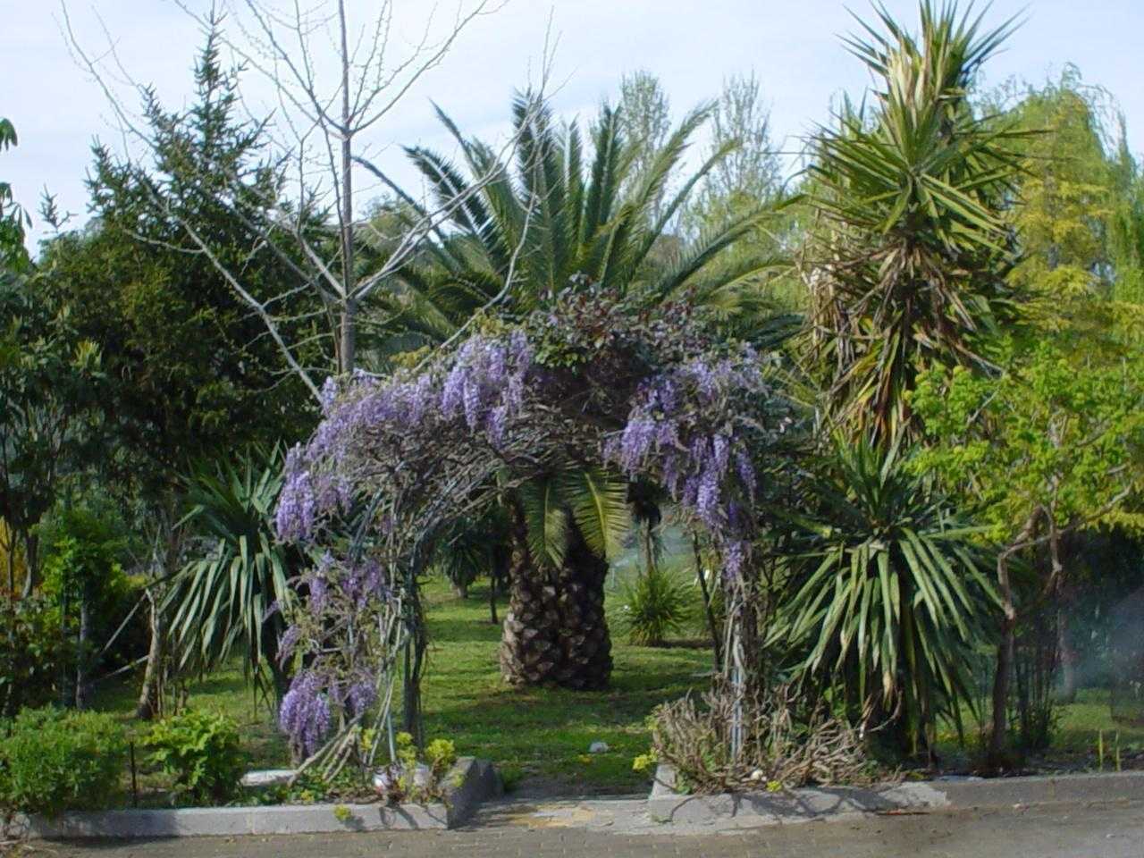  - foto 13