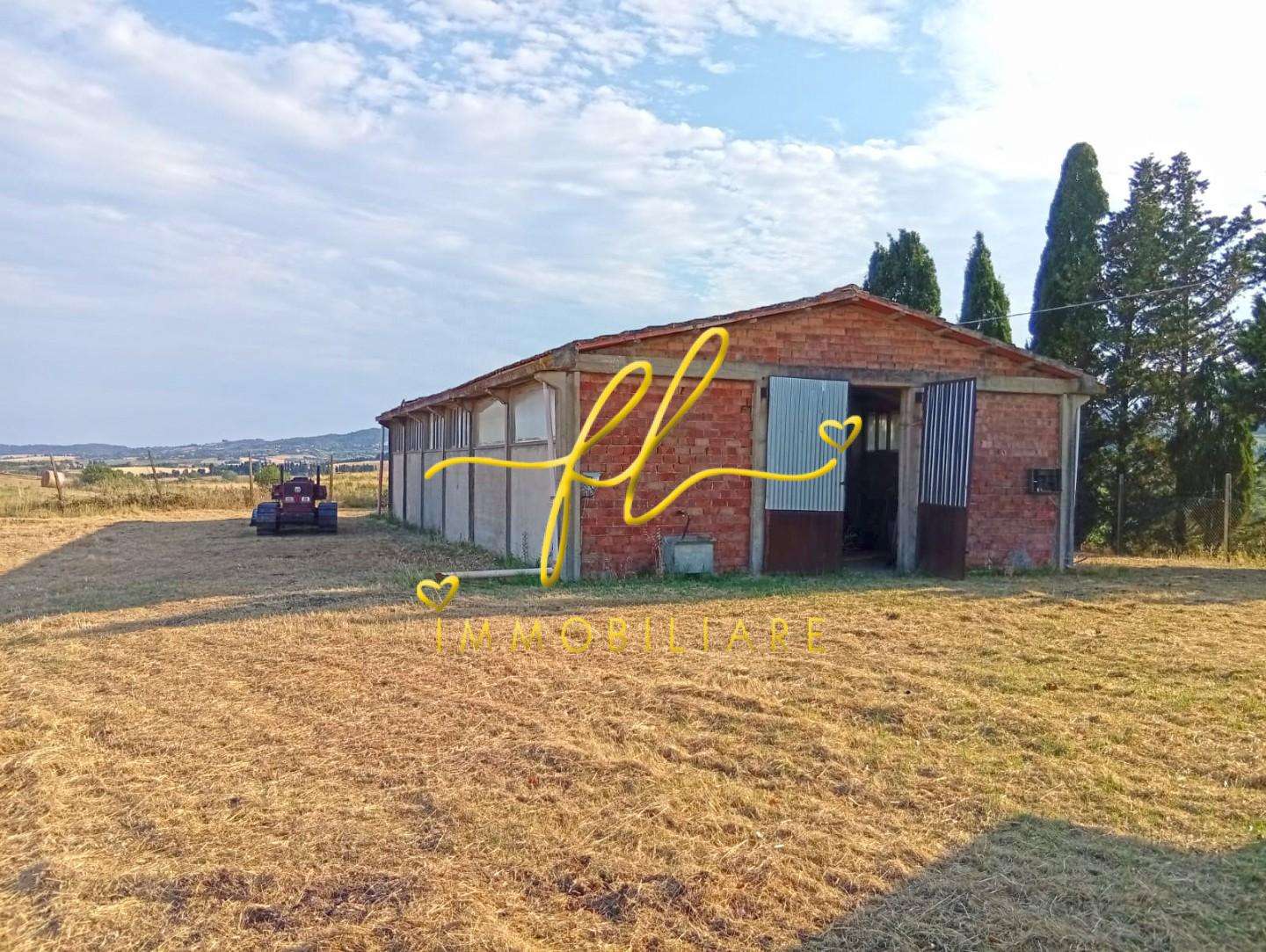 Terreno agricolo Rovigo, Rosignano Marittimo