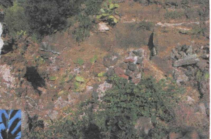  - foto 10