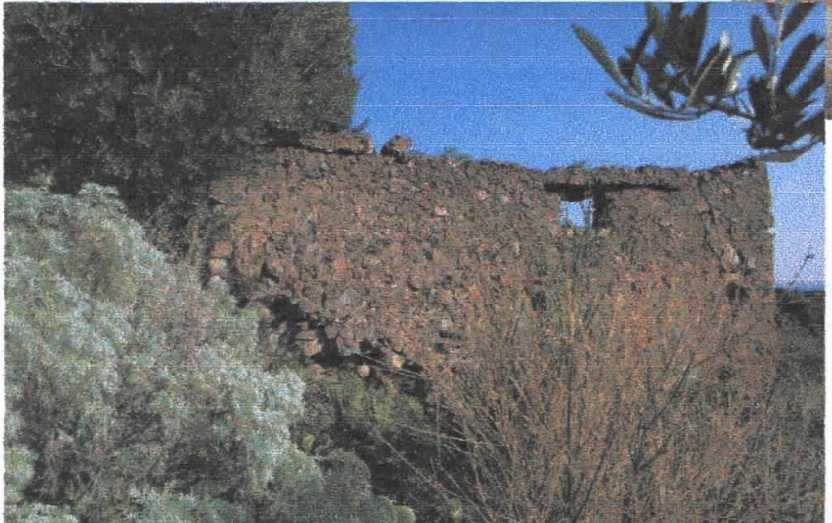 - foto 11