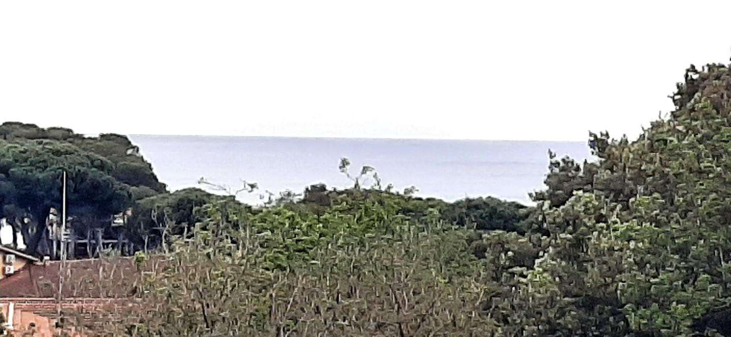  - foto 6
