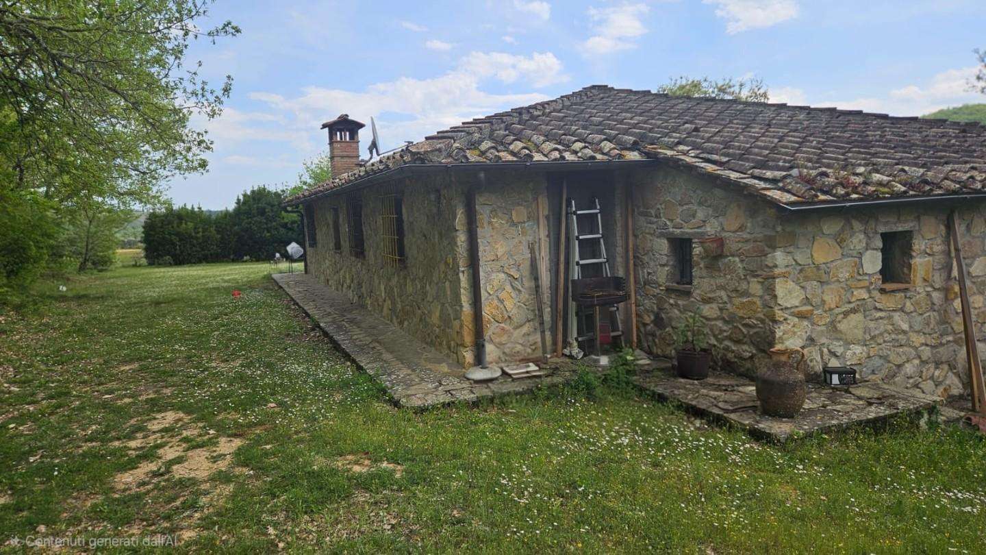  - foto 2
