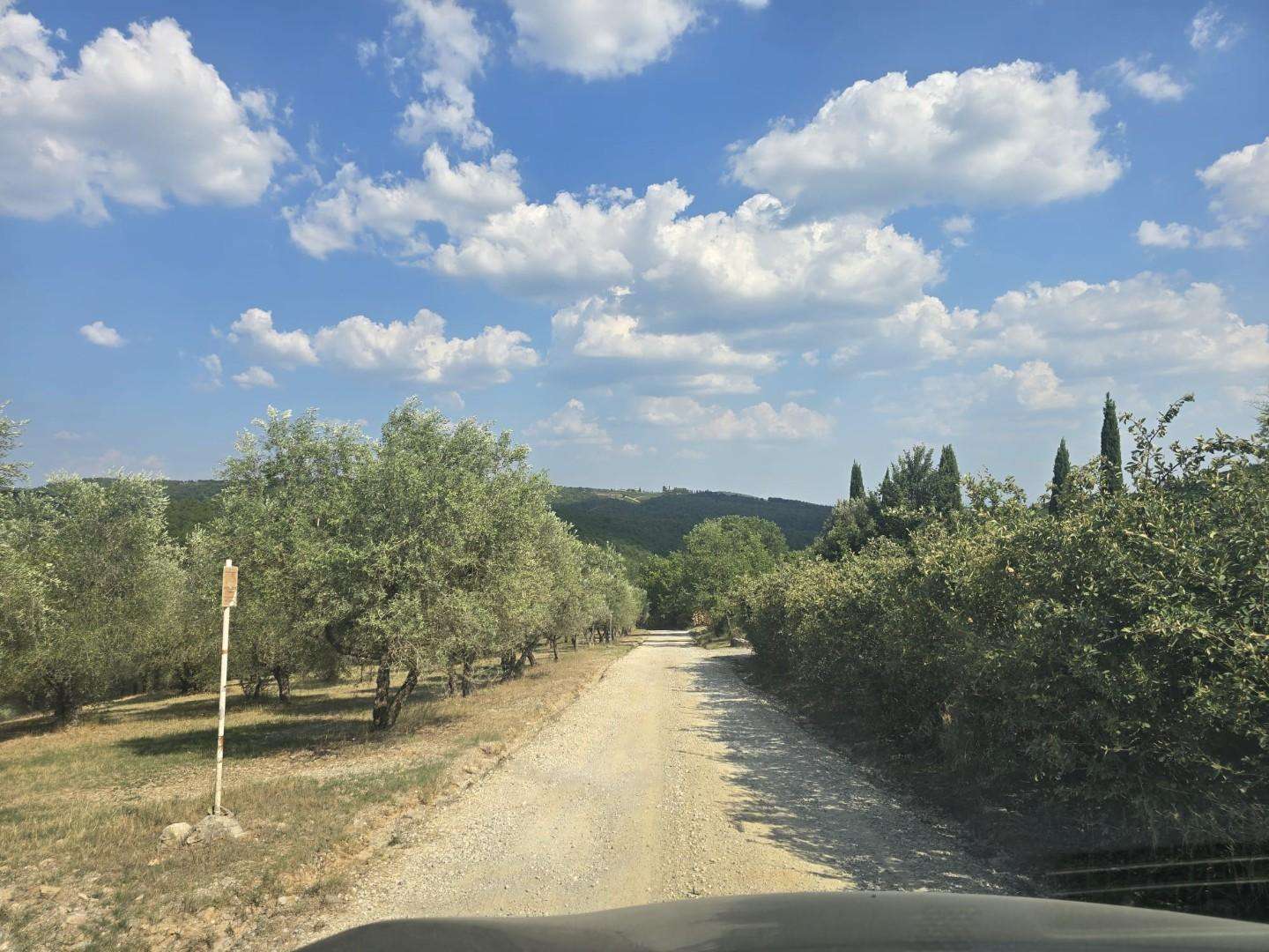  - foto 4