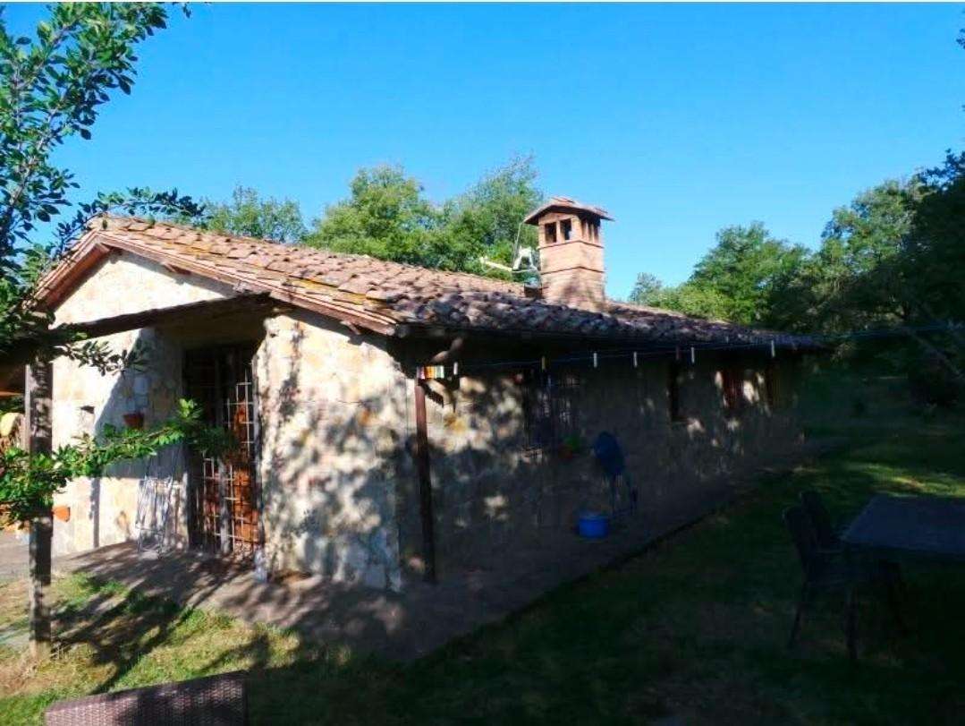  - foto 6