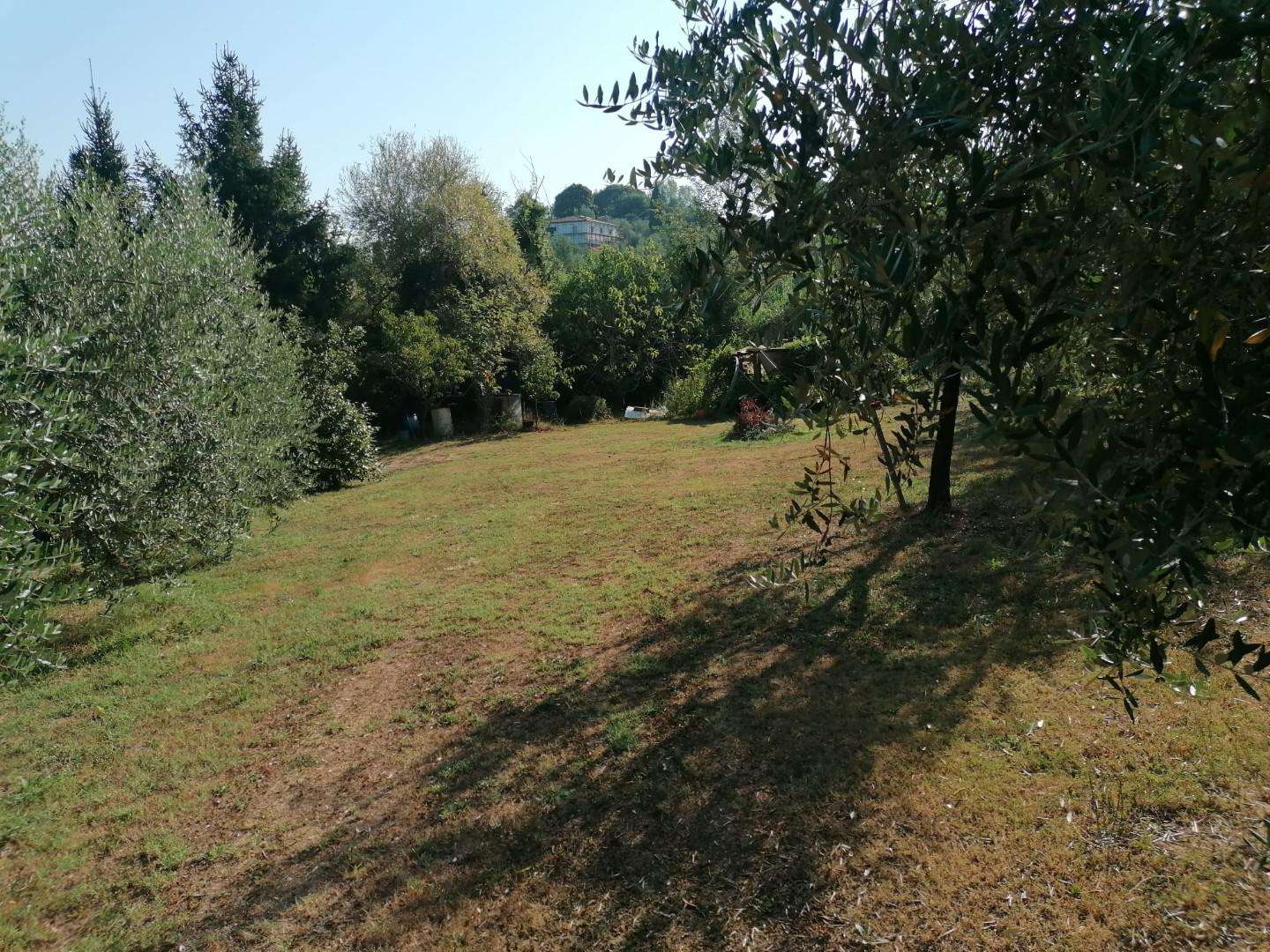  - foto 10