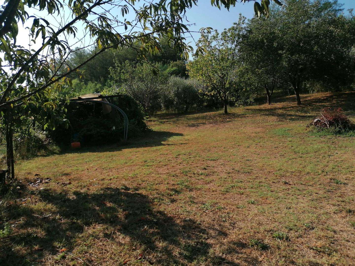  - foto 12