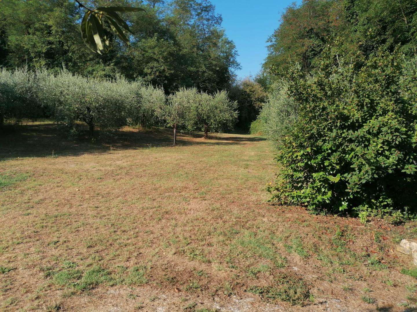  - foto 14