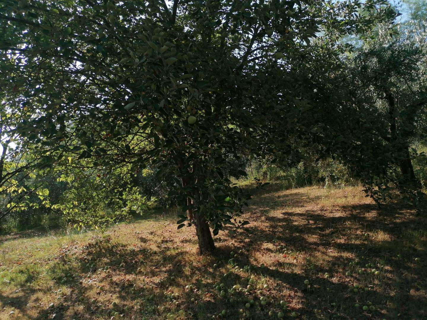  - foto 3