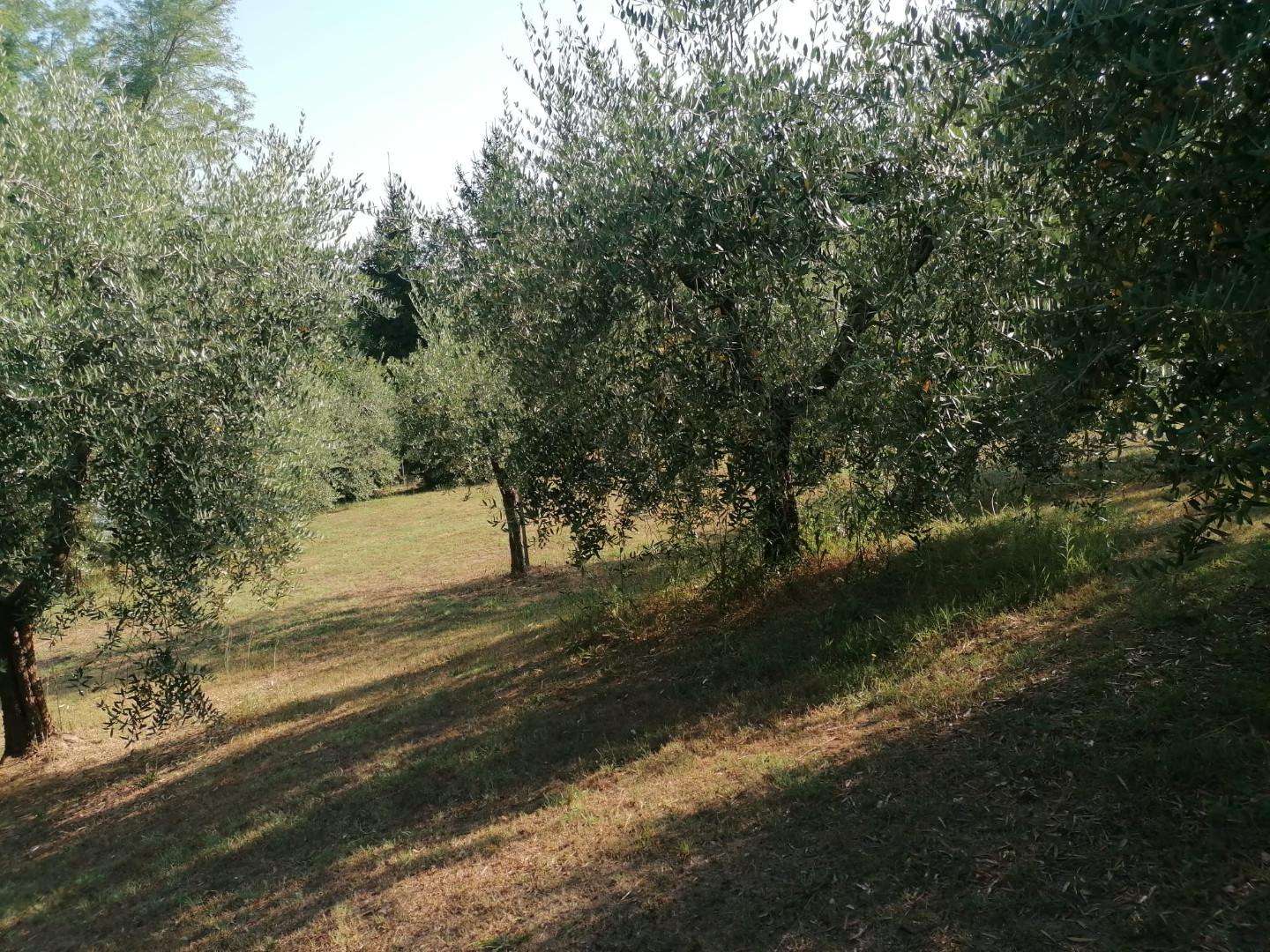  - foto 9