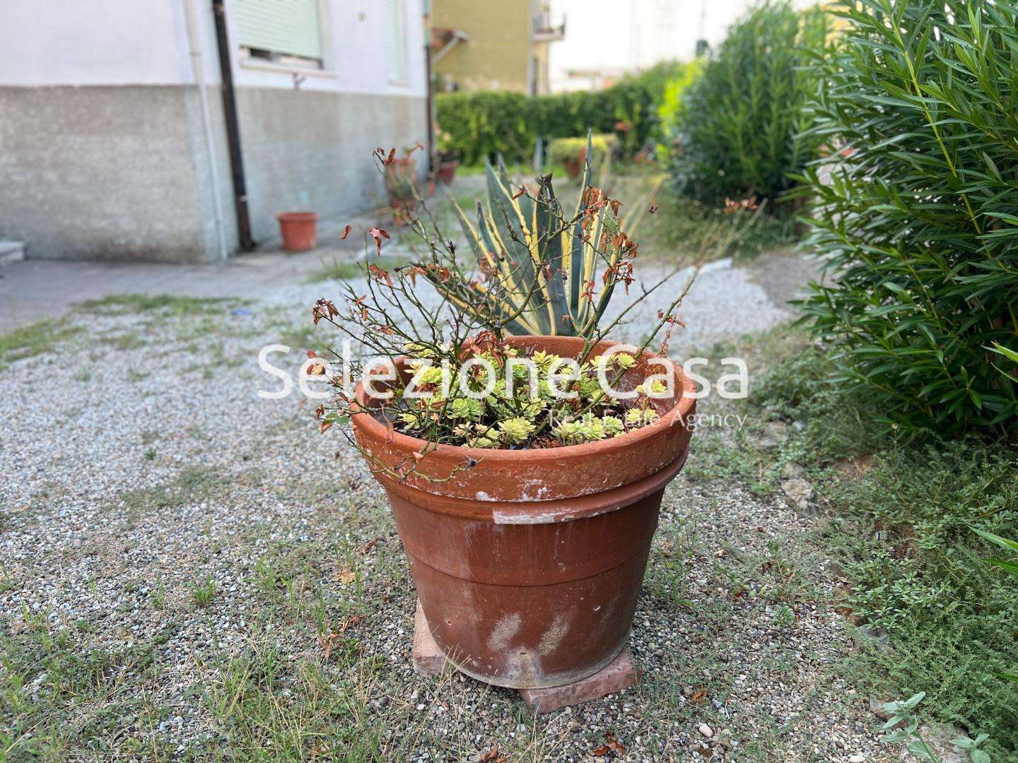  - foto 26
