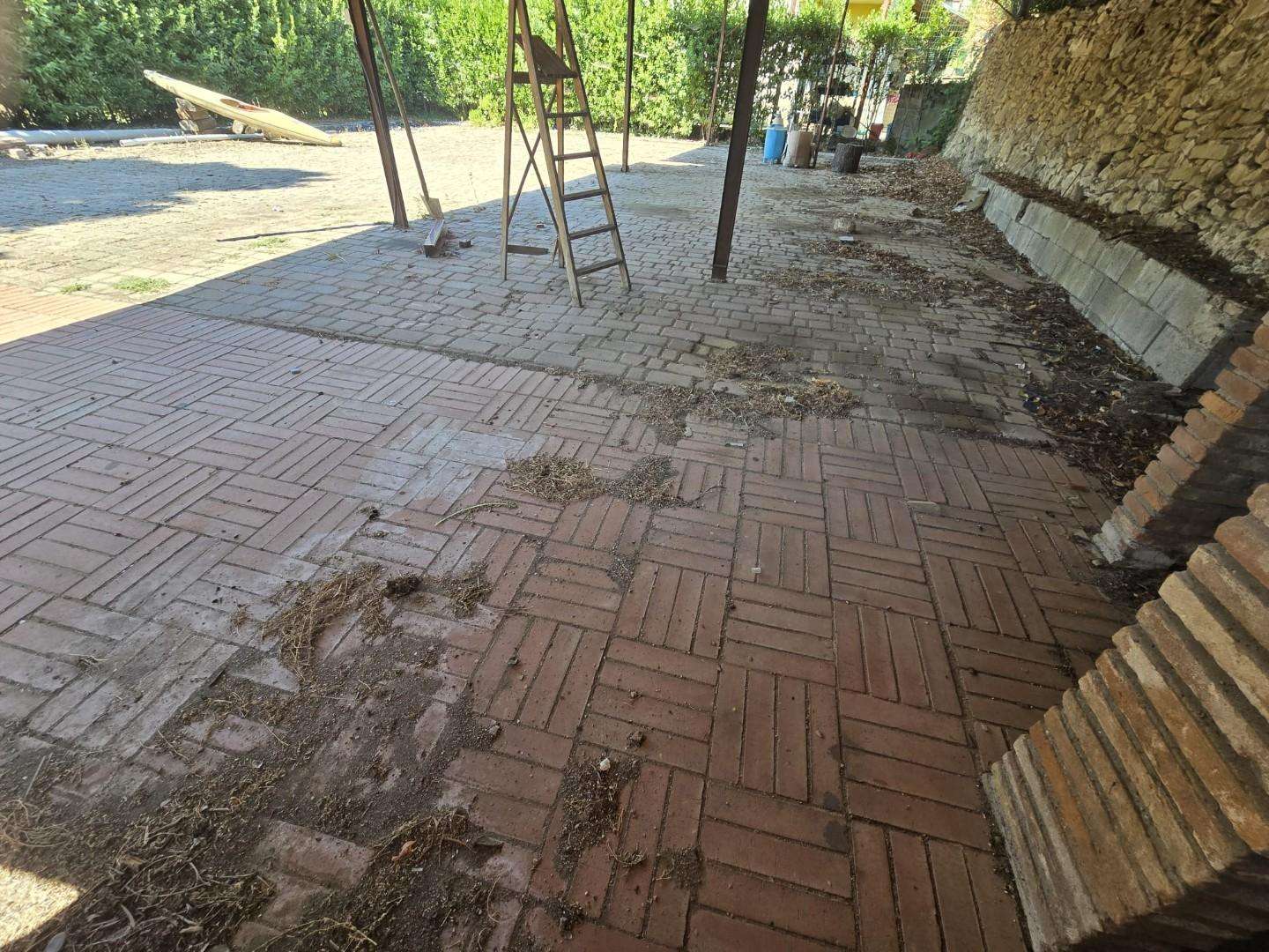 - foto 23