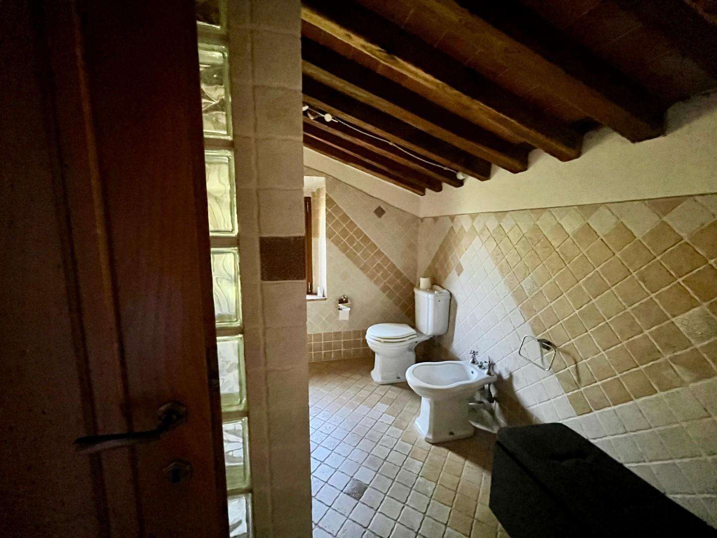  - foto 31