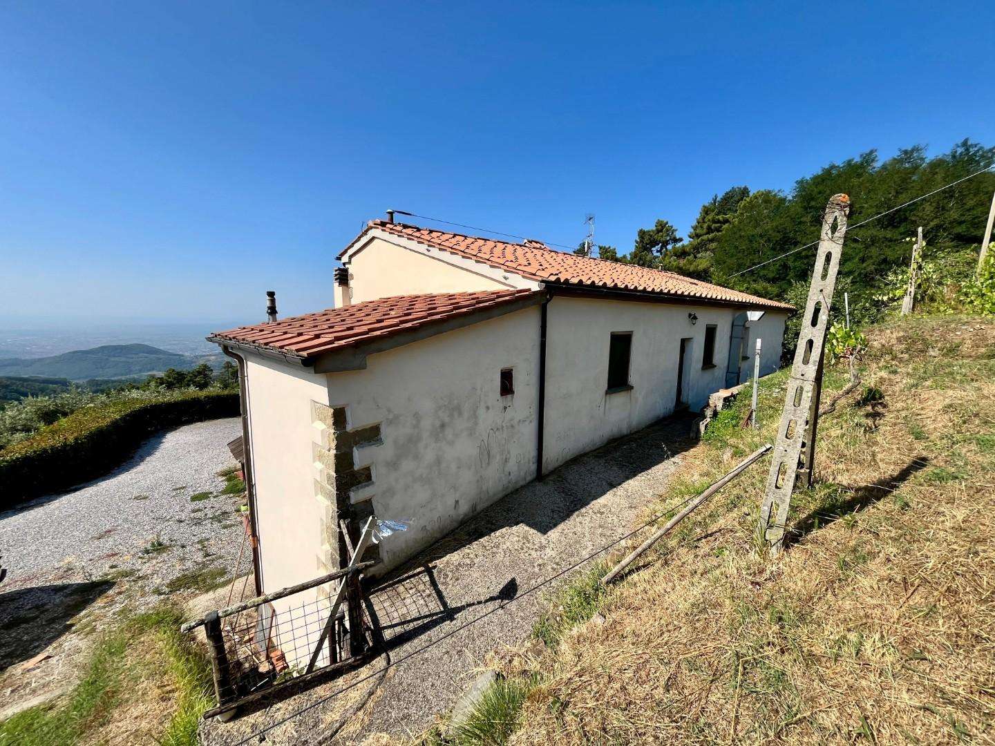  - foto 43