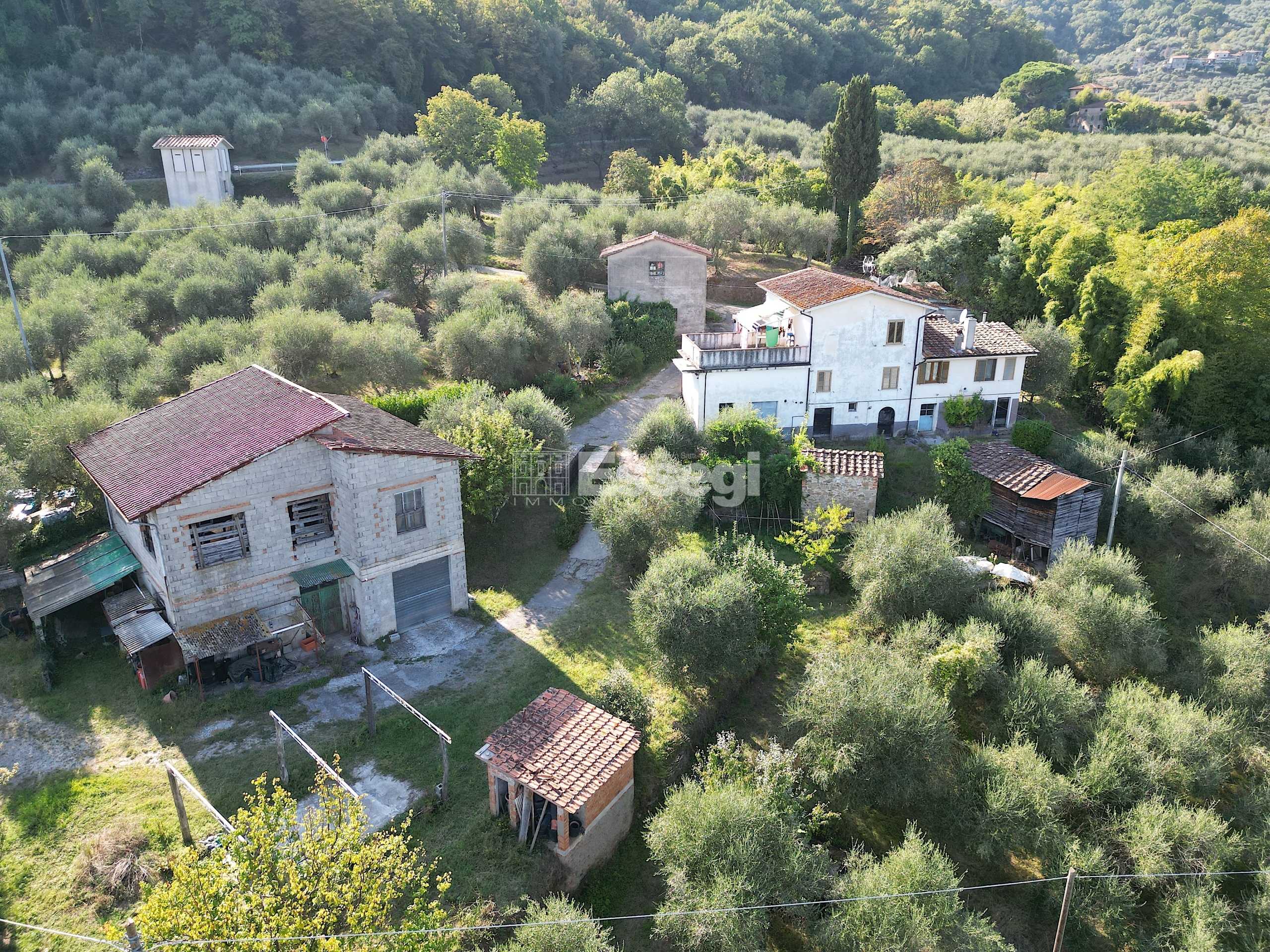 Casa indipendente Via di Bolognana, Lucca