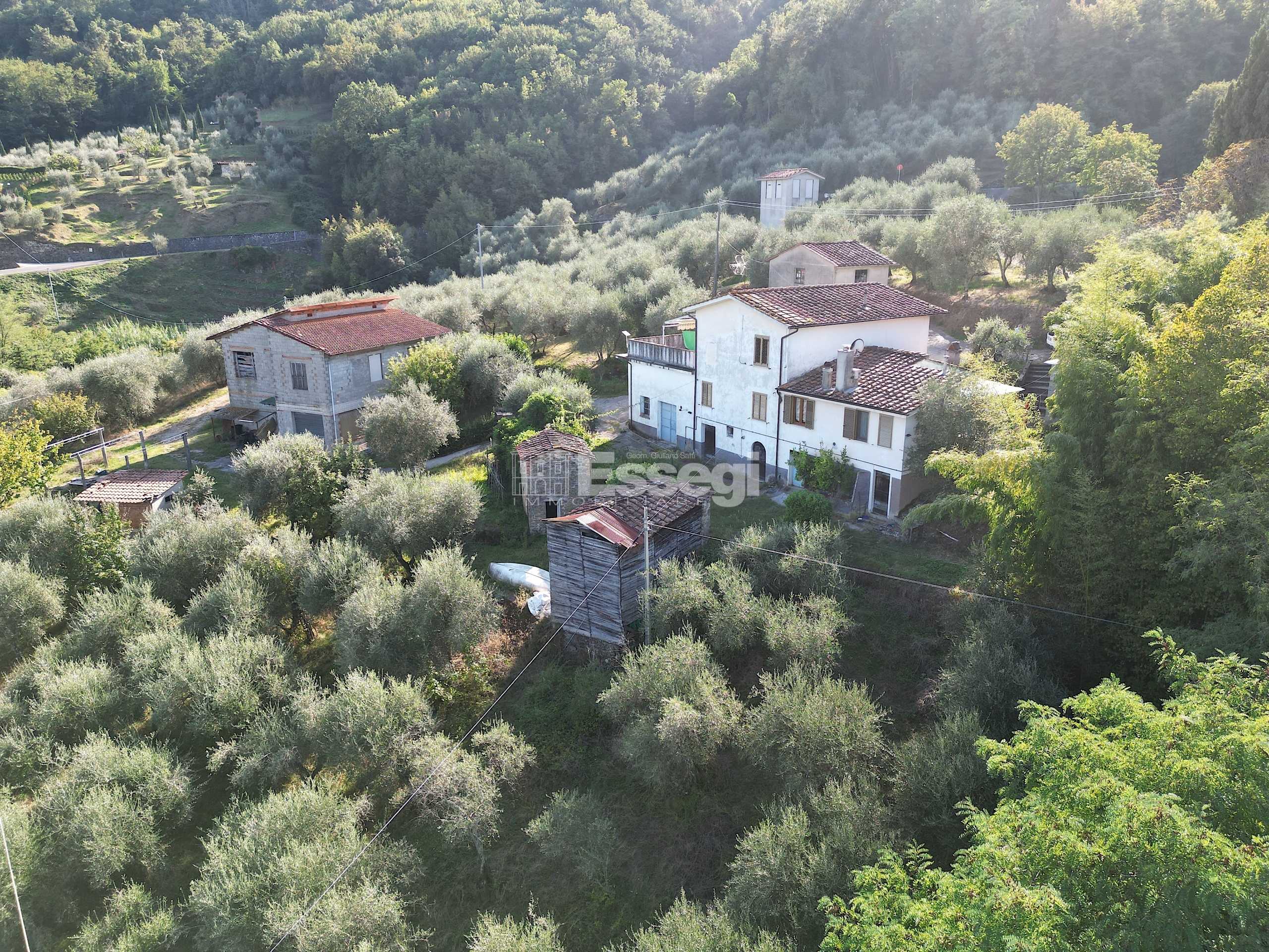 - foto 2