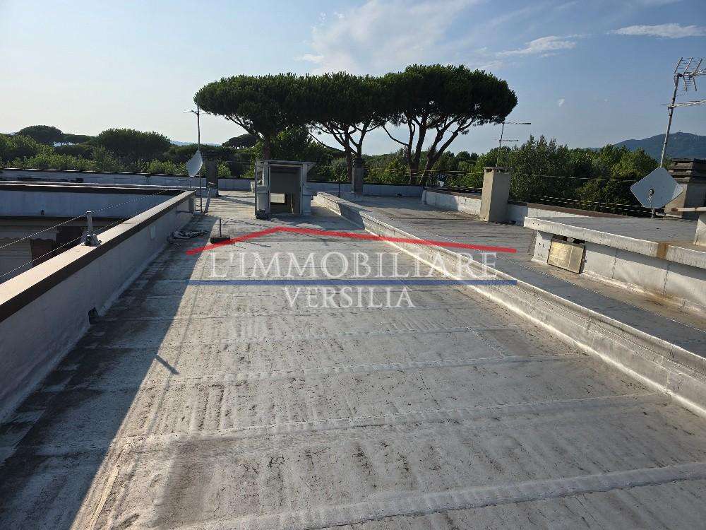  - foto 15