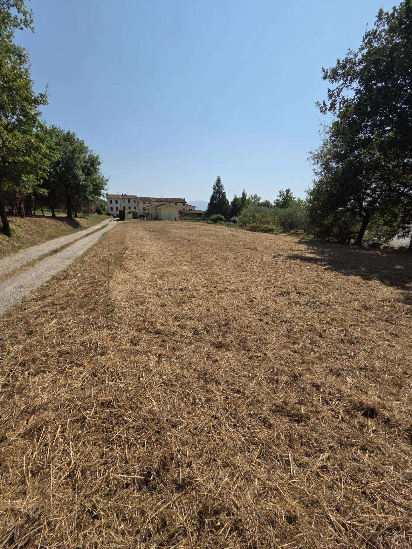 Terreno agricolo Porcari LU,  55016, Porcari