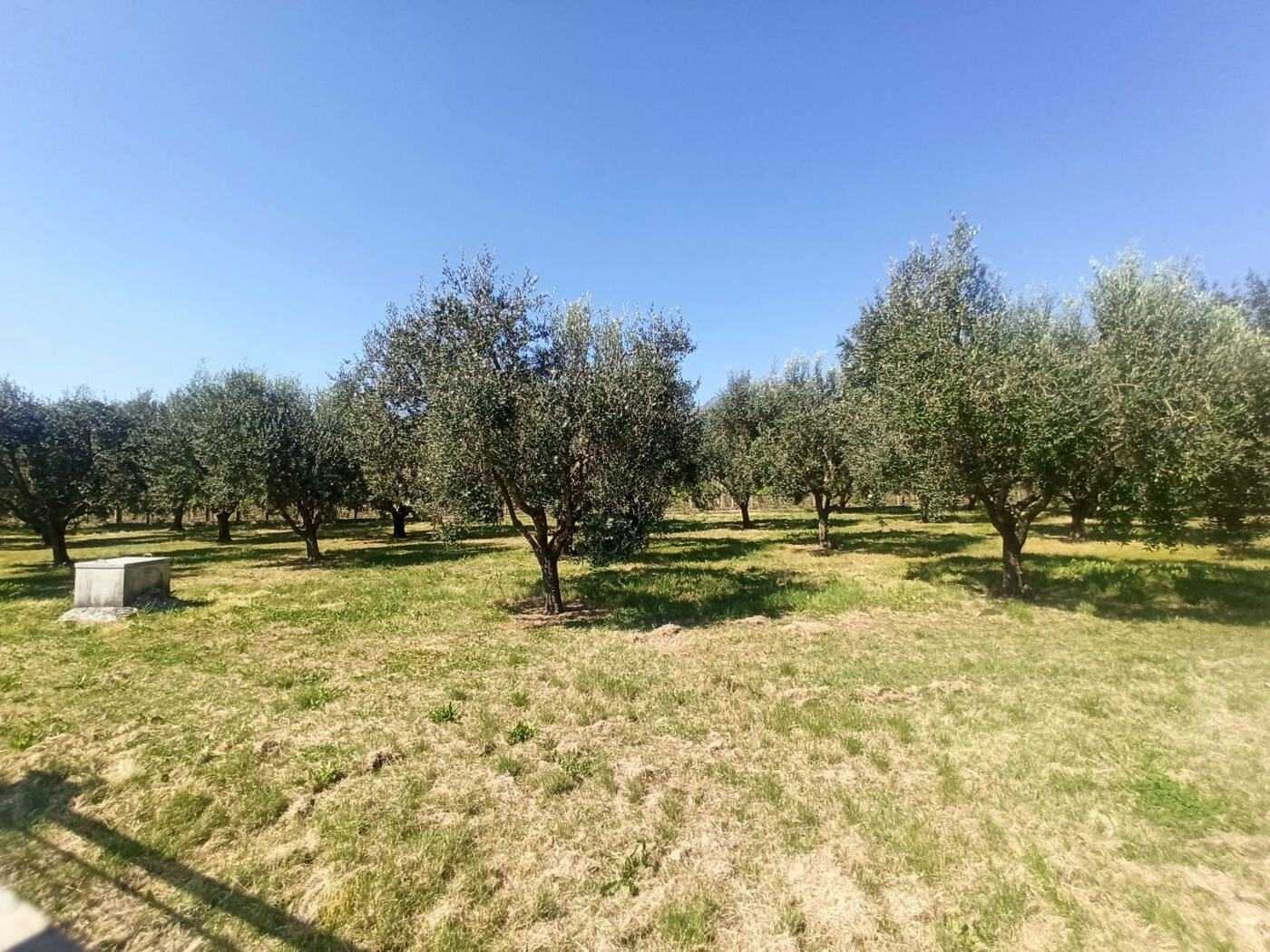  - foto 30