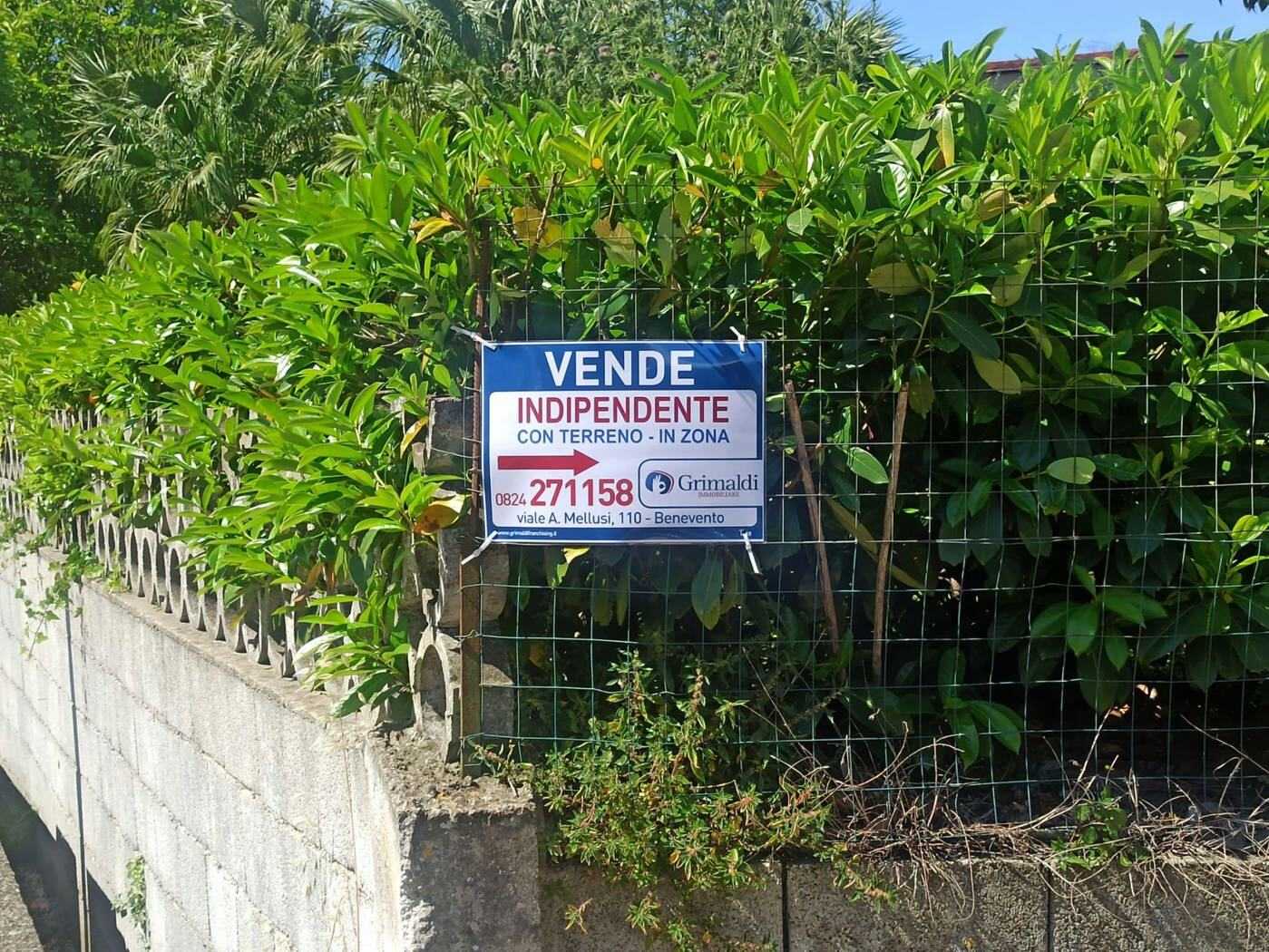  - foto 36