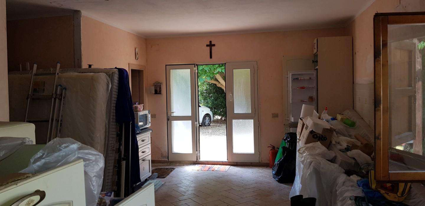  - foto 12