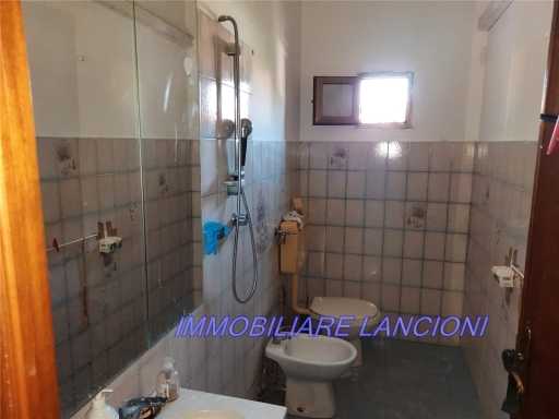  - foto 17
