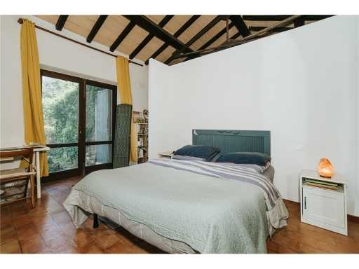  - foto 30