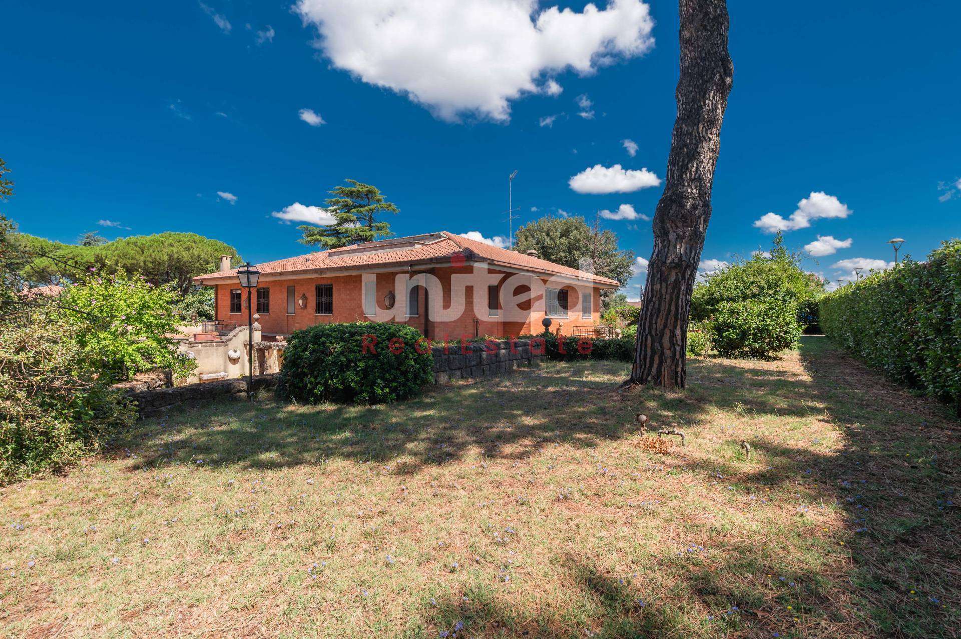  - foto 49