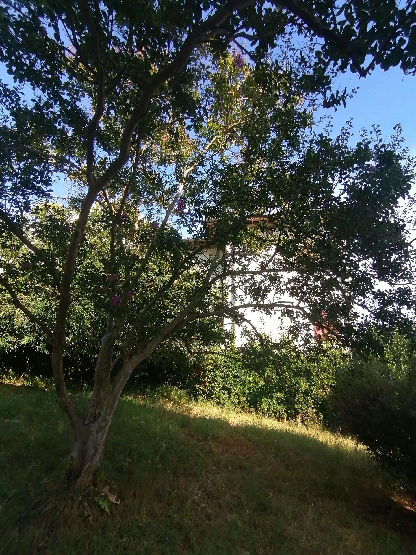  - foto 11