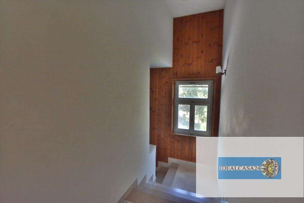 - foto 25