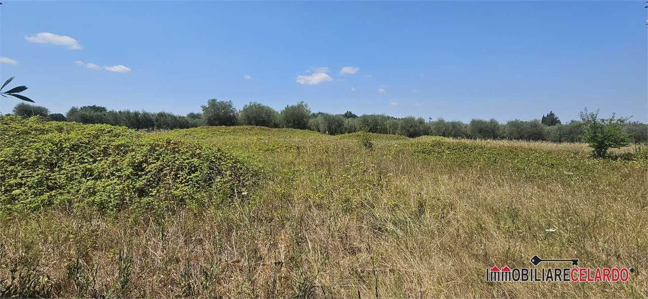 Terreno agricolo le grazie, Colle di Val d'Elsa