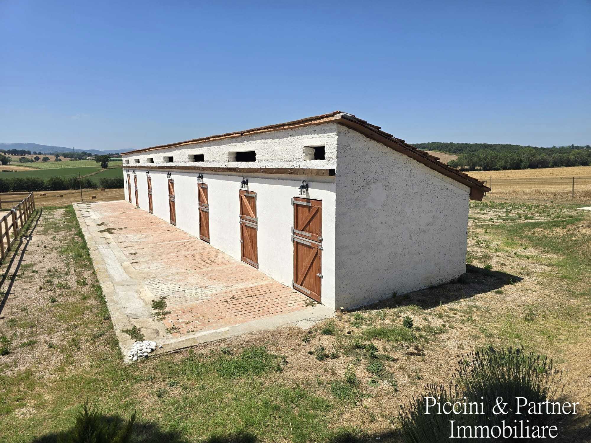  - foto 65