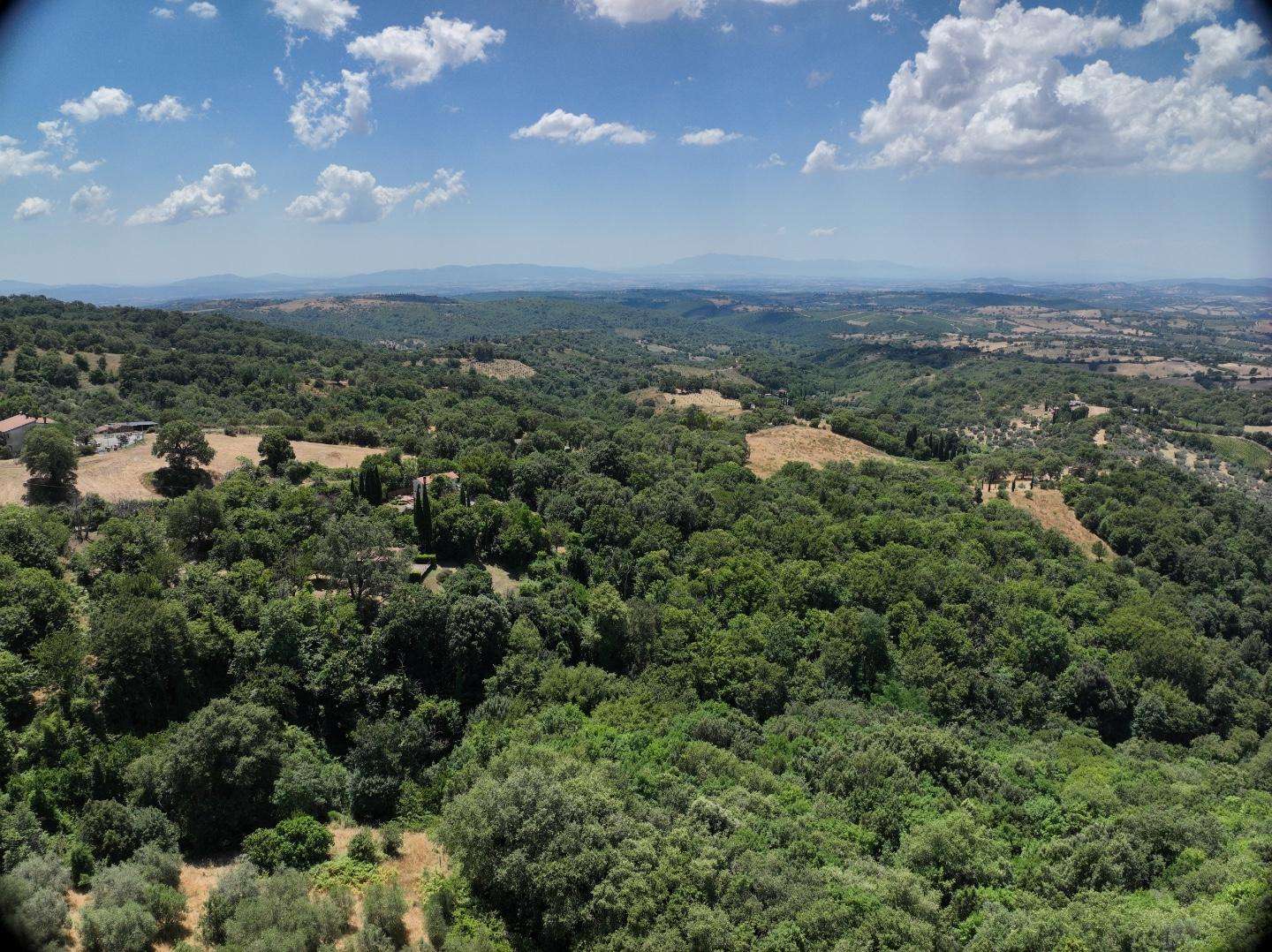 Terreno edificabile Località Casa Sabatini,  86, Scansano