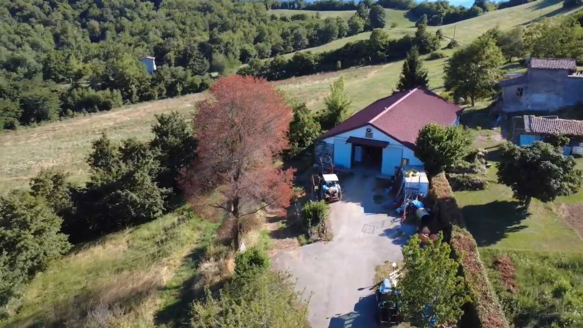  - foto 49