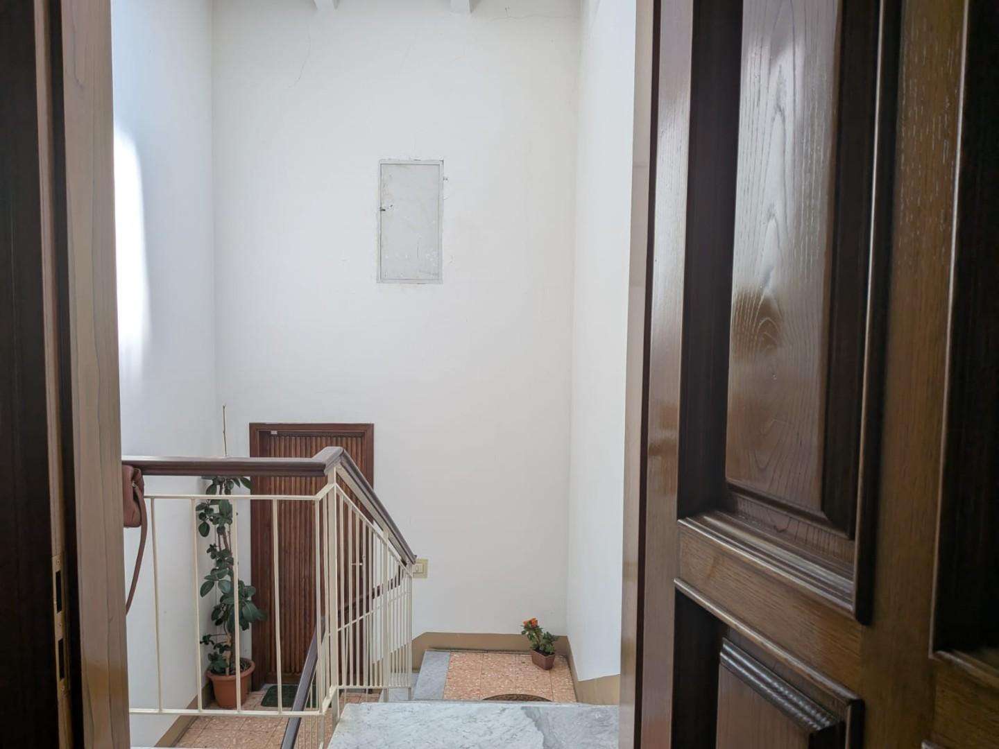  - foto 12