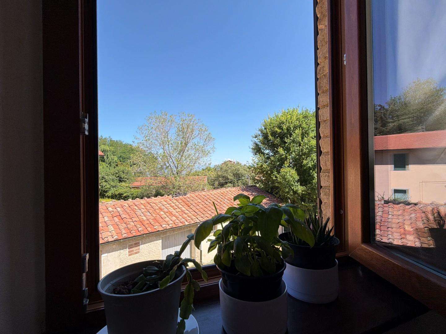  - foto 12