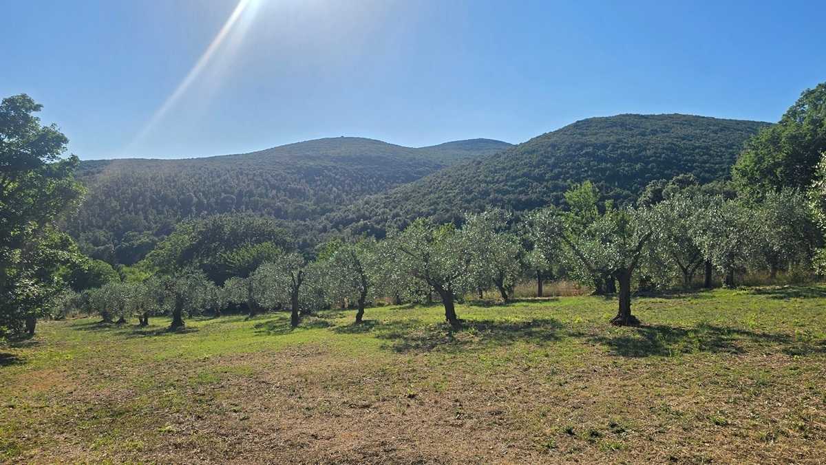  - foto 12