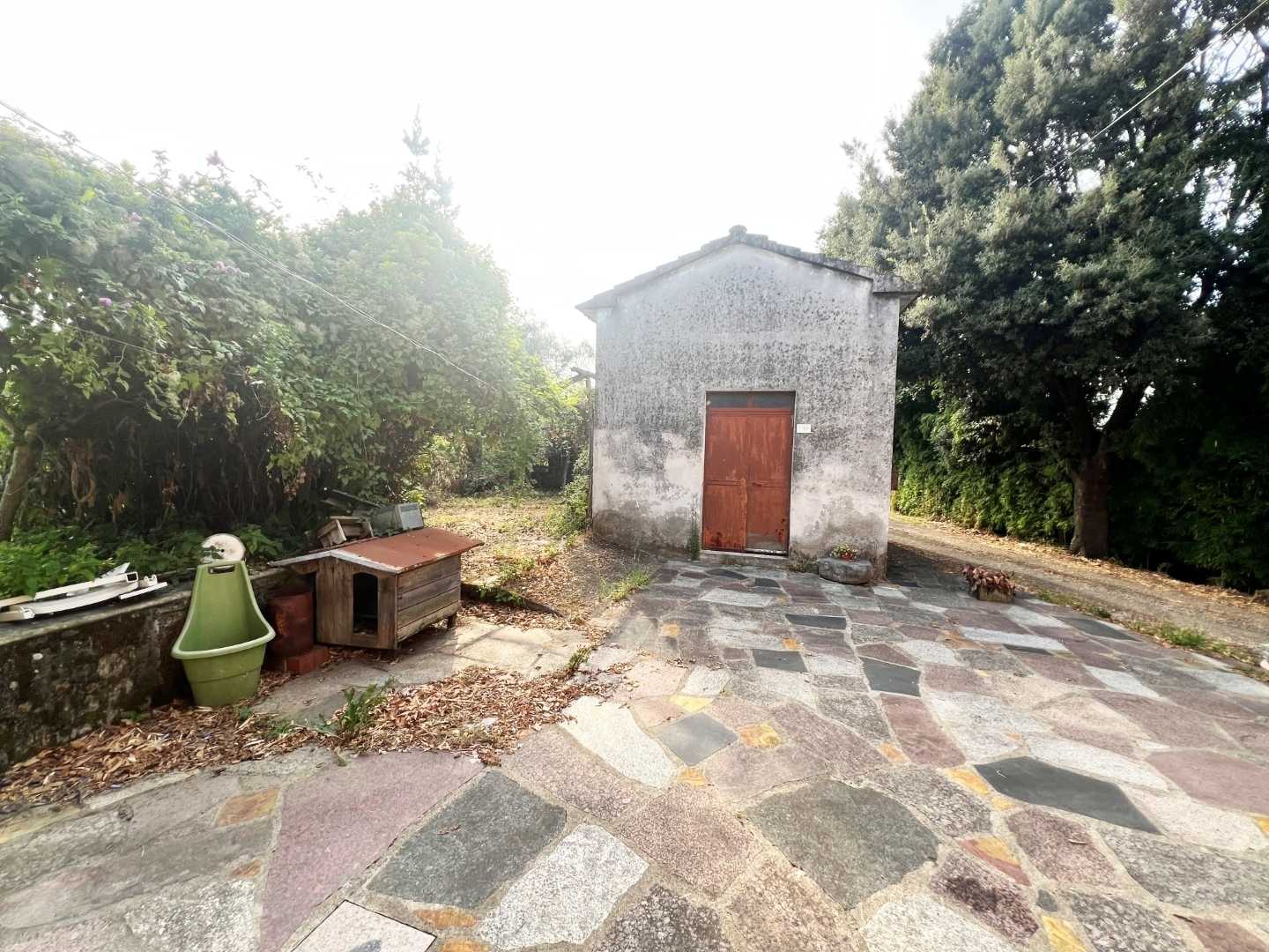  - foto 6