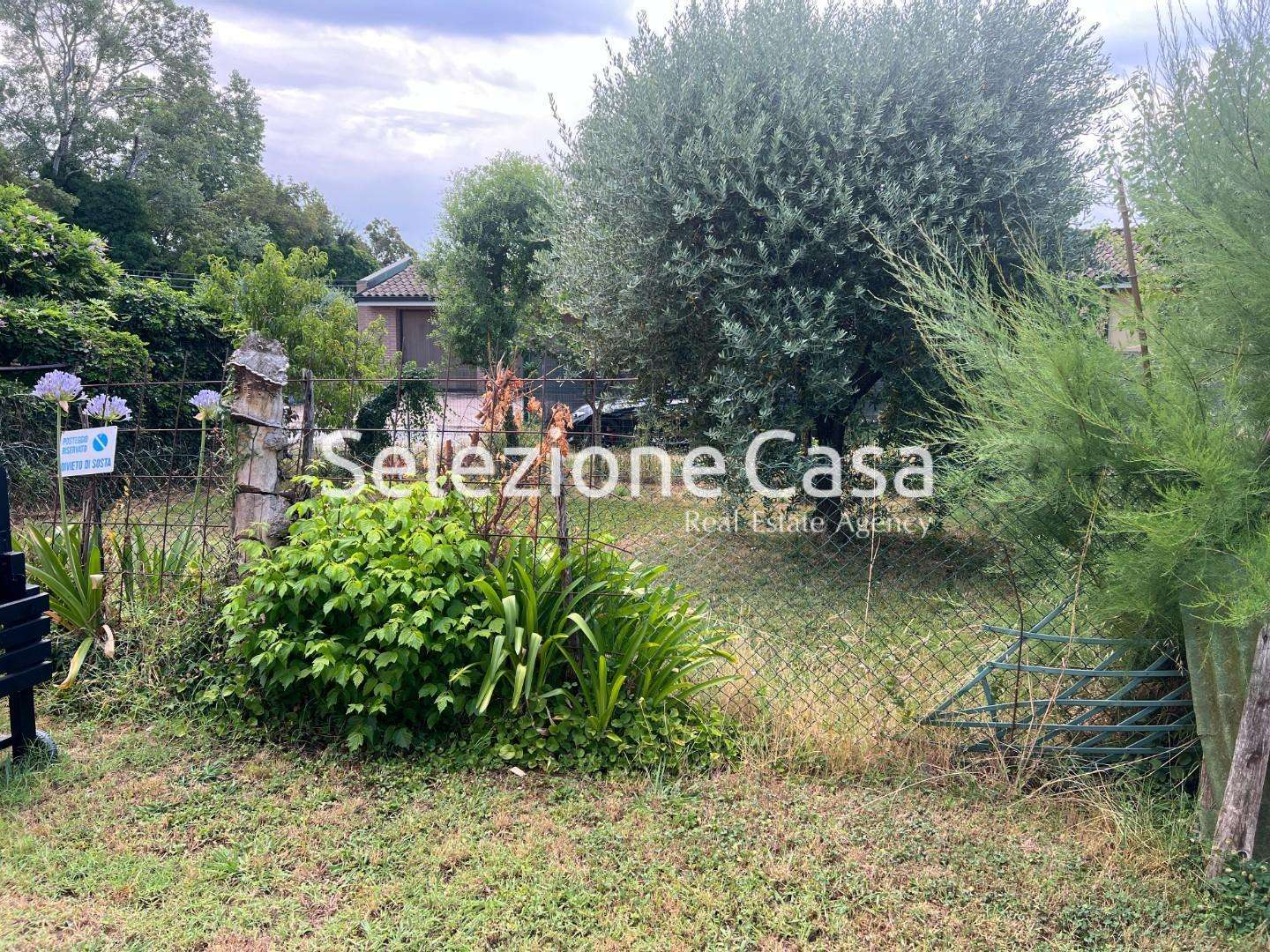  - foto 11