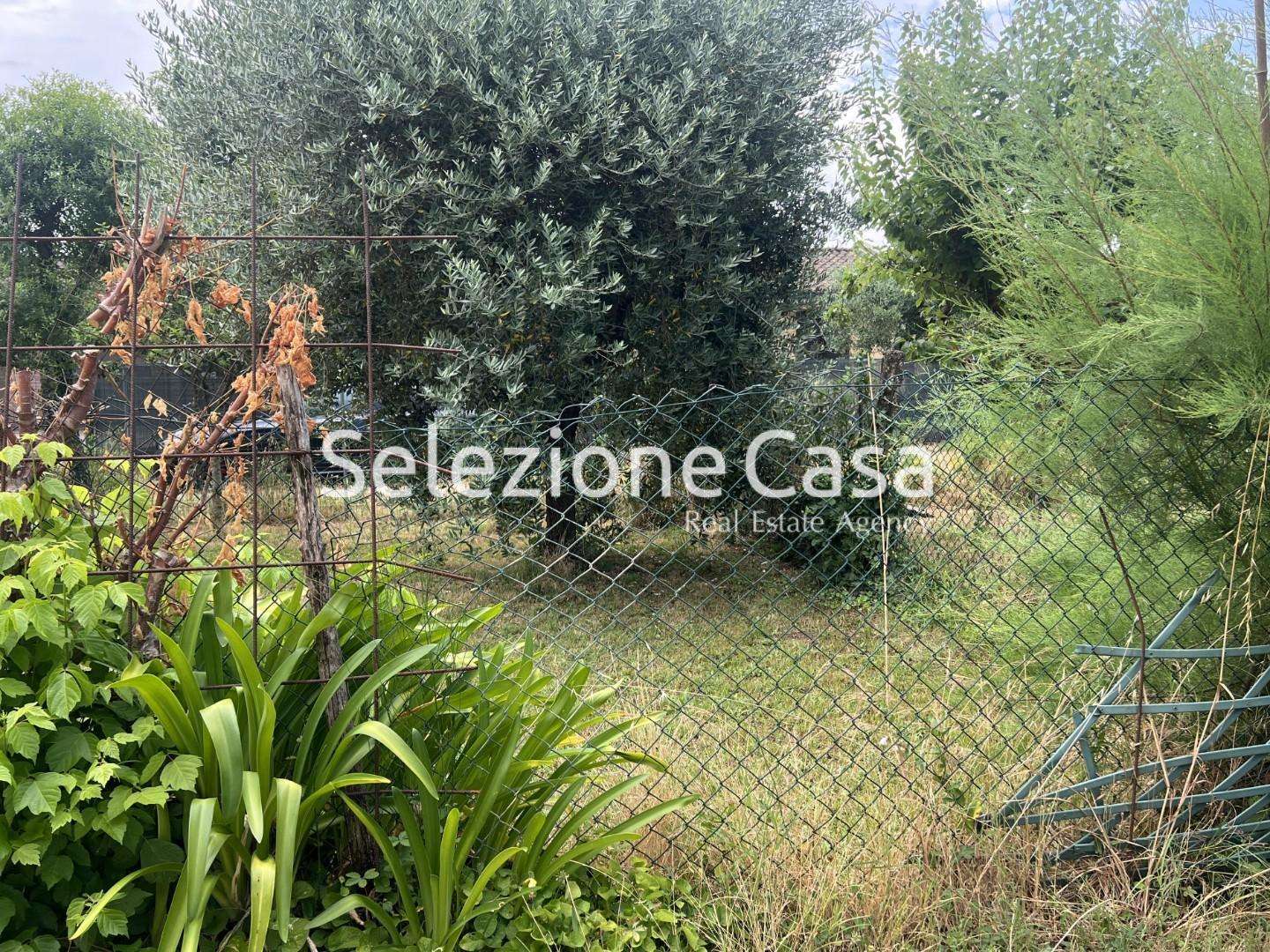  - foto 22