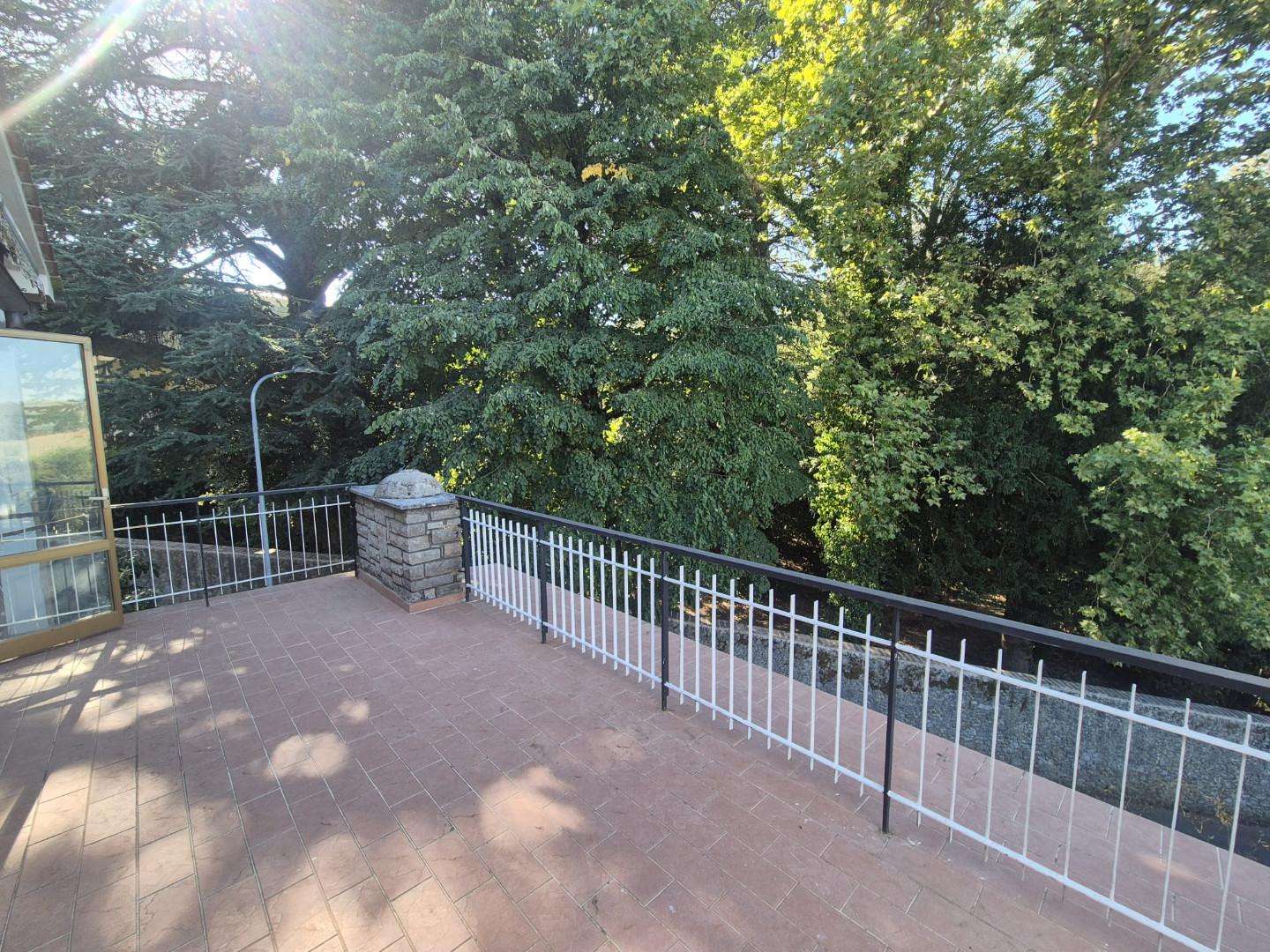  - foto 11