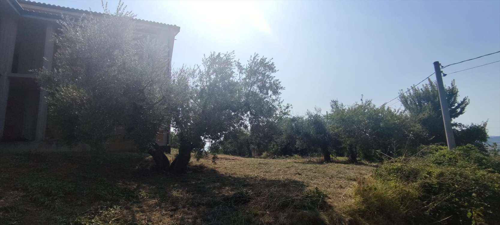  - foto 7