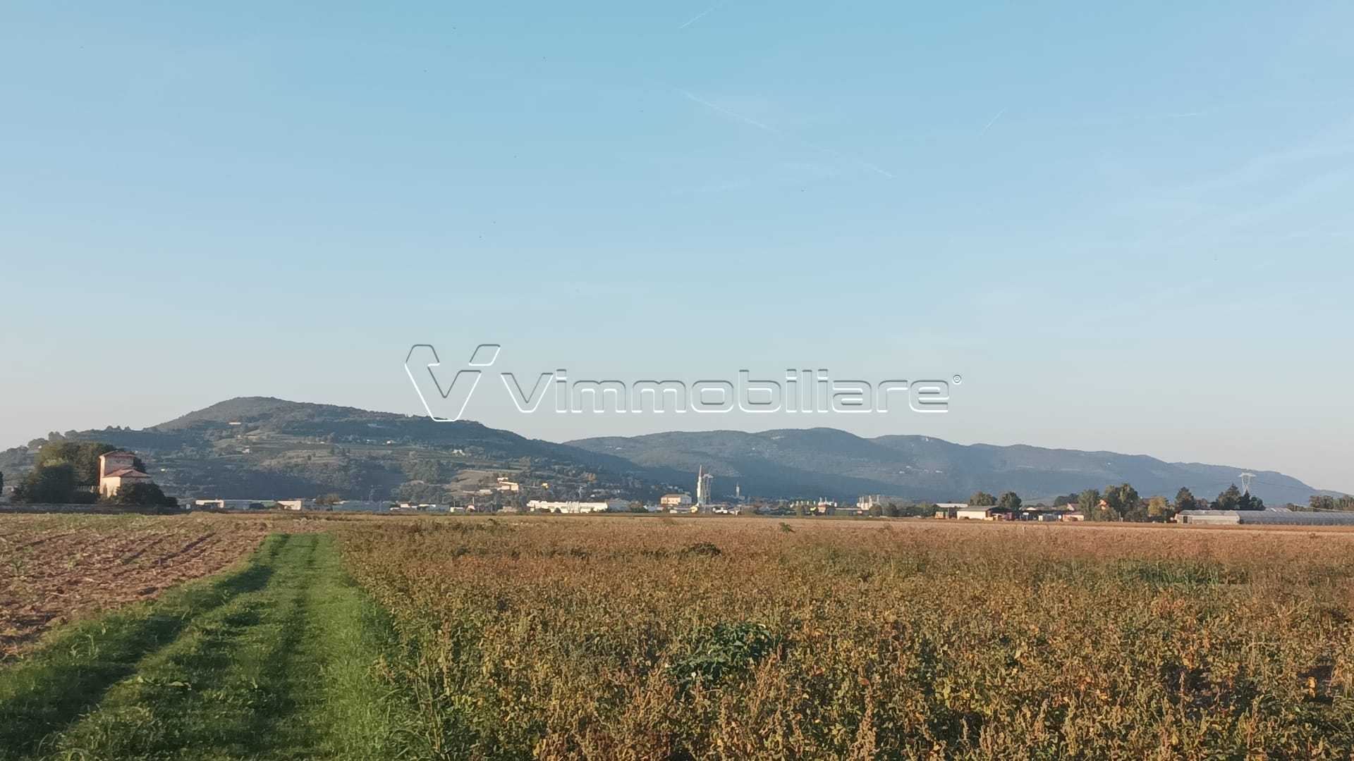  - foto 8