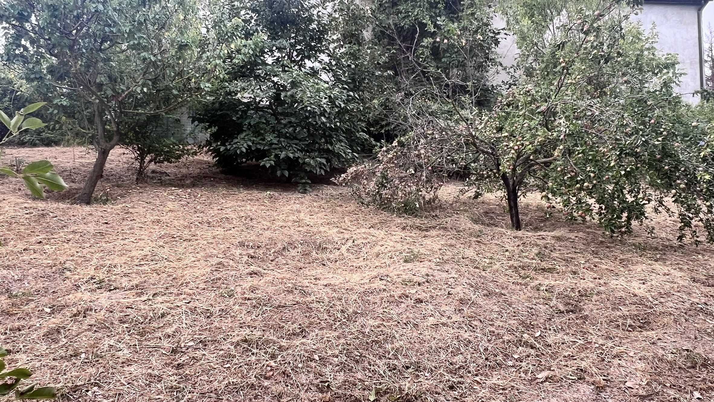  - foto 6