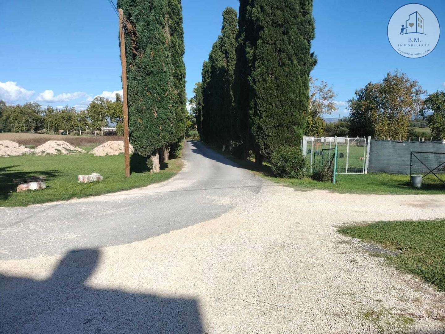  - foto 19
