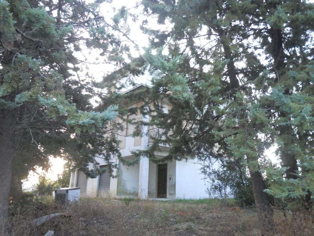  - foto 26