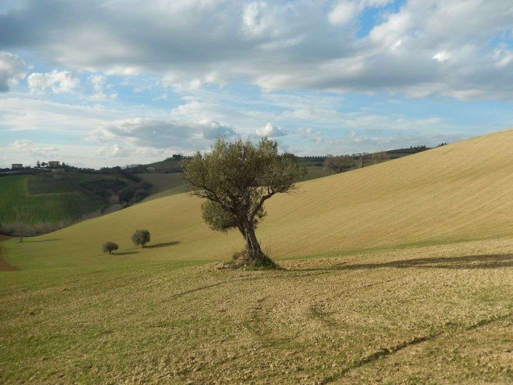  - foto 11